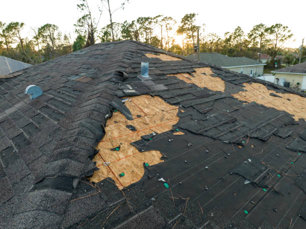 Best Slate Roofing  in Mount Juliet, TN